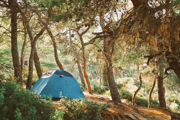 Combien d'enfants peut accueillir une colonie de vacances ?